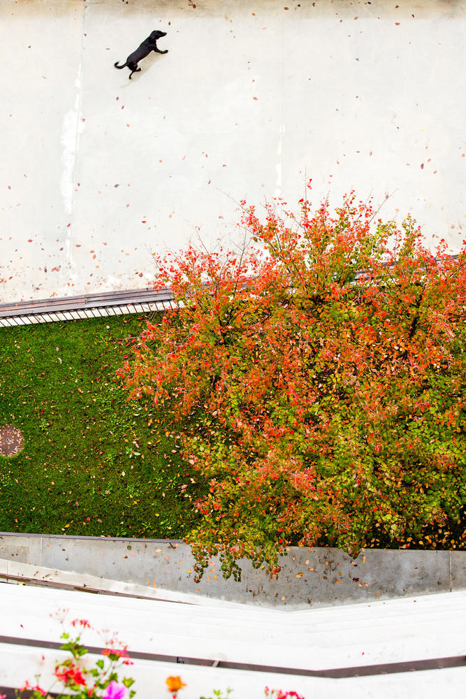 Maison des etudiants,Genf,Schweiz,Lacroix Chessex