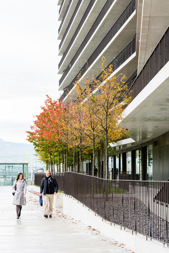 Maison des etudiants,Genf,Schweiz,lacroix chessex