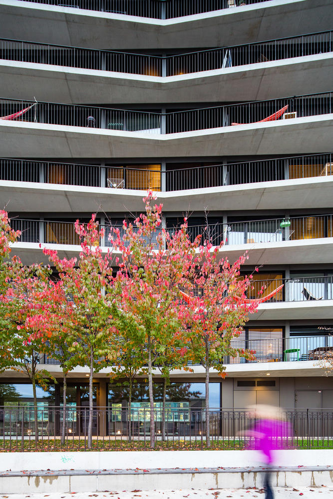 Maison des etudiants,Genf,Schweiz,lacroix chessex