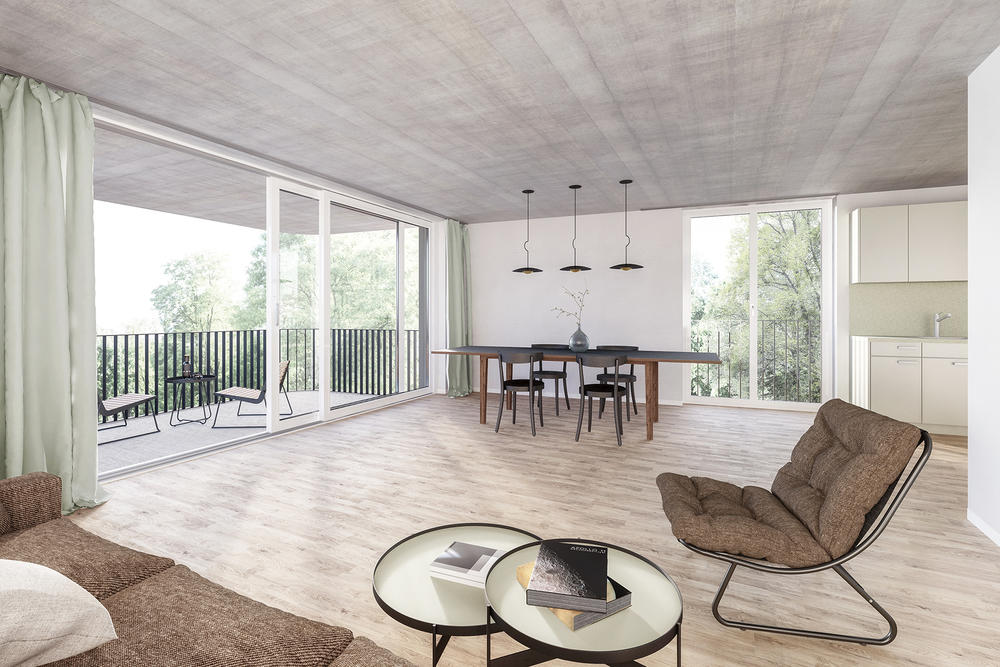  Architekturvisualisierung - Neubau MFH Neudorfstrasse,Horgen,Hotz Partner