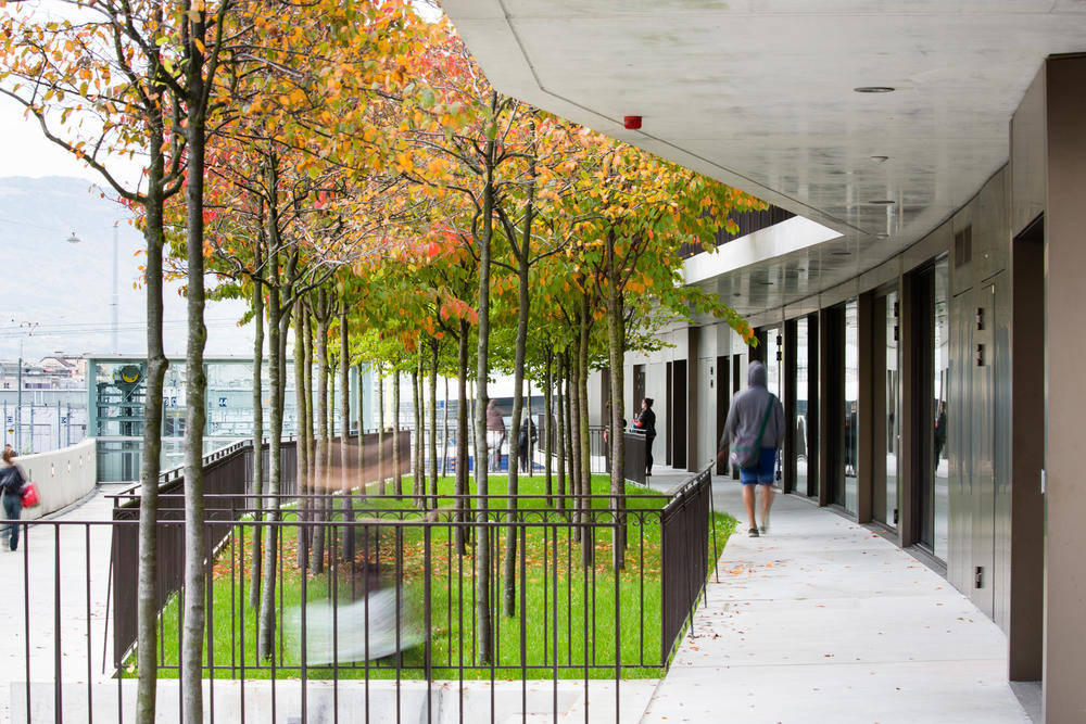 Maison des etudiants,Genf,Schweiz,lacroix chessex